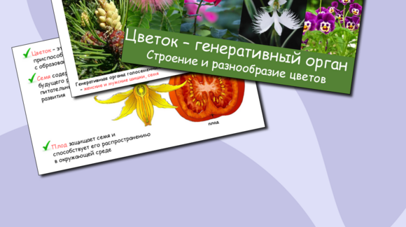 Обложка материала