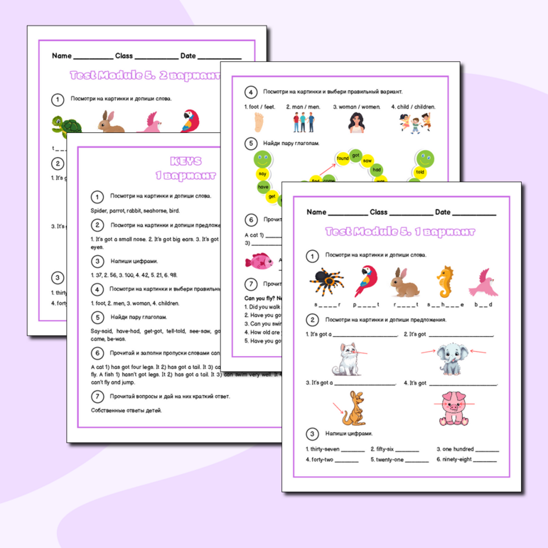 Контрольная работа по английскому языку, Модуль 3 Spotlight 5 класс, 2 ...