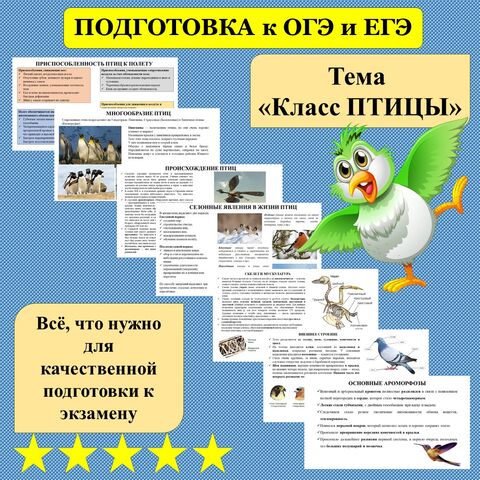 Презентация 