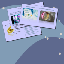 Презентация 