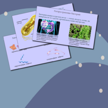 Презентация 