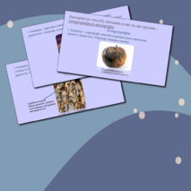 Презентация 