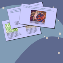 Презентация 