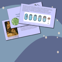 Презентация 