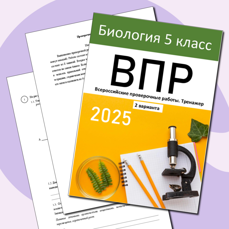 ВПР по математике 5 класс 2025. Тренировочные варианты с ответами по ...
