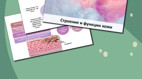 Обложка материала