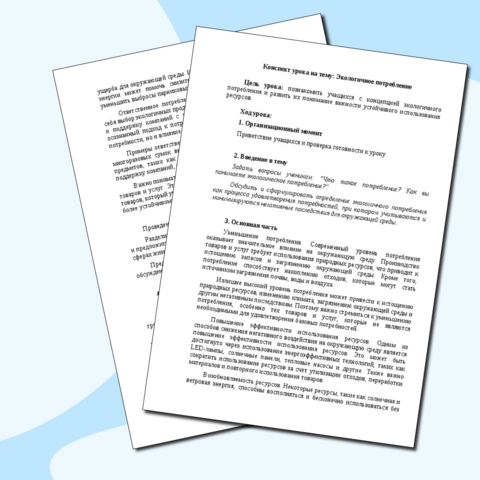 Конспект урока на тему: Экологичное потребление
