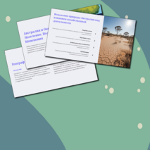 Презентация по географии по теме: «Австралия и Океания» для 11 класса