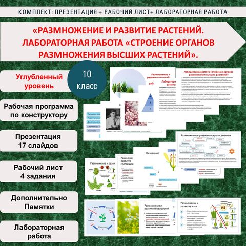 Комплект: Презентация + рабочий лист + лабораторная работа по теме: «Размножение и развитие растений. Лабораторная работа «Строение органов размножения высших растений». Биология. 10 класс.