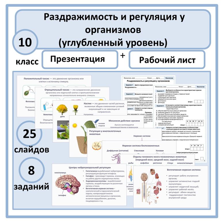 Комплект по биологии (презентация + рабочий лист) "Раздражимость и ...