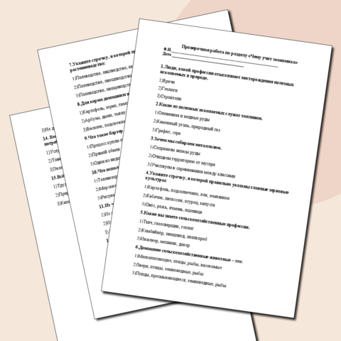 Проверочная работа по разделу 