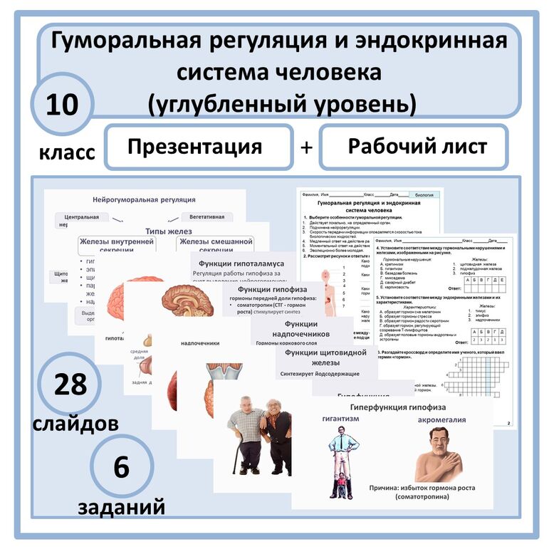 Комплект по биологии (презентация + рабочий лист) "Гуморальная ...