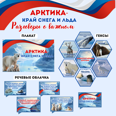 Арктика - территория развития. Разговоры о важном. Оформление.