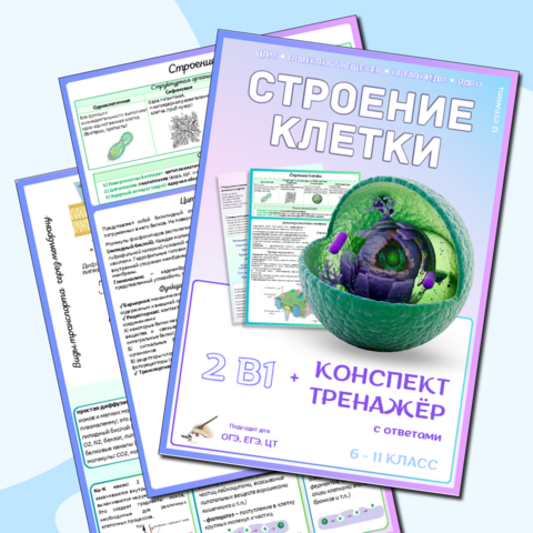 Строение клетки. Мембрана клетки, транспорт веществ, органоиды, ядро клетки. Конспект + тренажёр 2в1