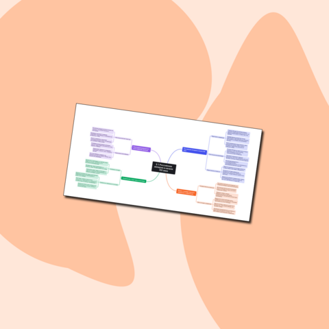 Интеллект-карта по теме: Российская империя в начале XIX века. История России XIX - начало XX в. 9 класс. Вишняков Я.В., Мединский В. Р.