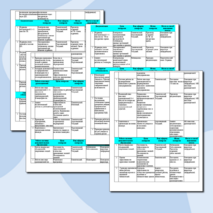 План внутришкольного контроля за организацией воспитательной работы