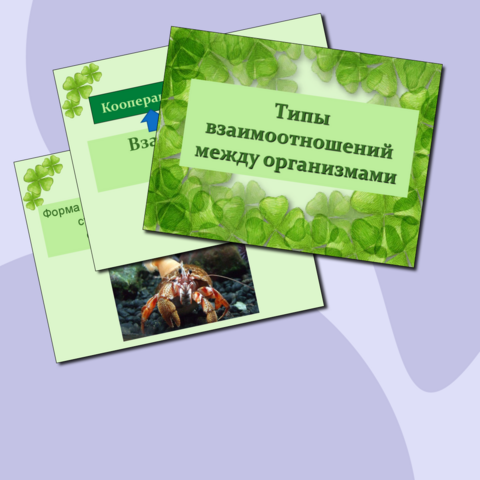 Презентация: 
