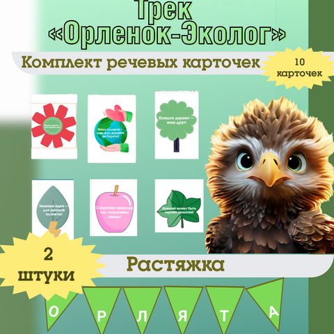 Оформление «Орлята России» (речевые эко-карточки Орленок-эколог, растяжка). Трек «Орлёнок-эколог»