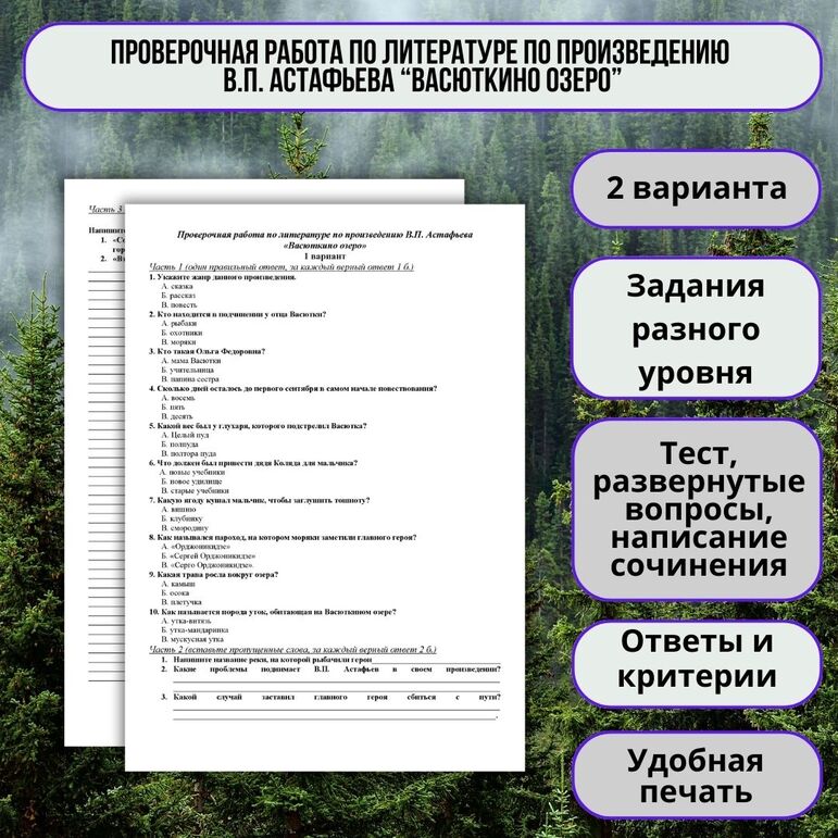 Проверочная/контрольная работа по литературе по рассказу В.П. Астафьева 