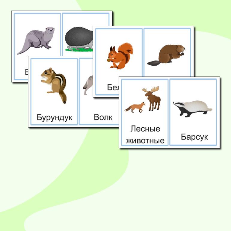 Карточки "Лесные животные"