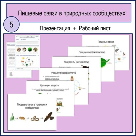 Презентация по теме: «Пищевые связи в природных сообществах» + Рабочий лист «Пищевые связи в природных сообществах»
