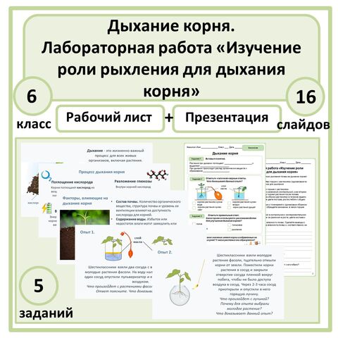 Комплект (презентация + рабочий лист) 