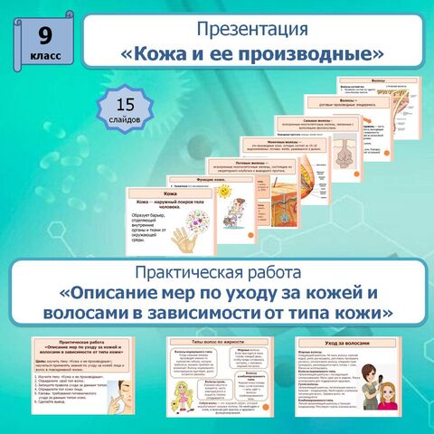 Презентация к уроку основы социальной жизни на тему "Уход за волосами ...