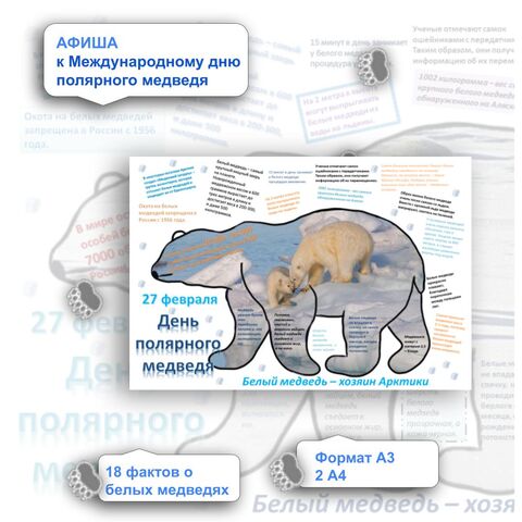 Международный день полярного медведя. Афиша.