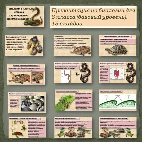 Презентация 