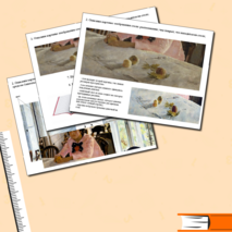 Презентация по русскому языку на тему 