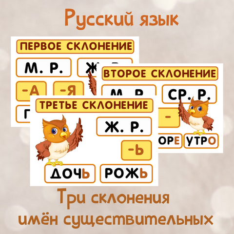 Таблички на доску. Три склонения имён существительных