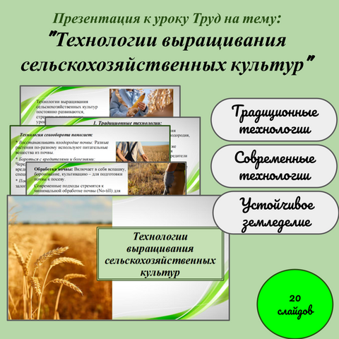 Презентация к уроку Труд на тему: ”Технологии выращивания сельскохозяйственных культур”