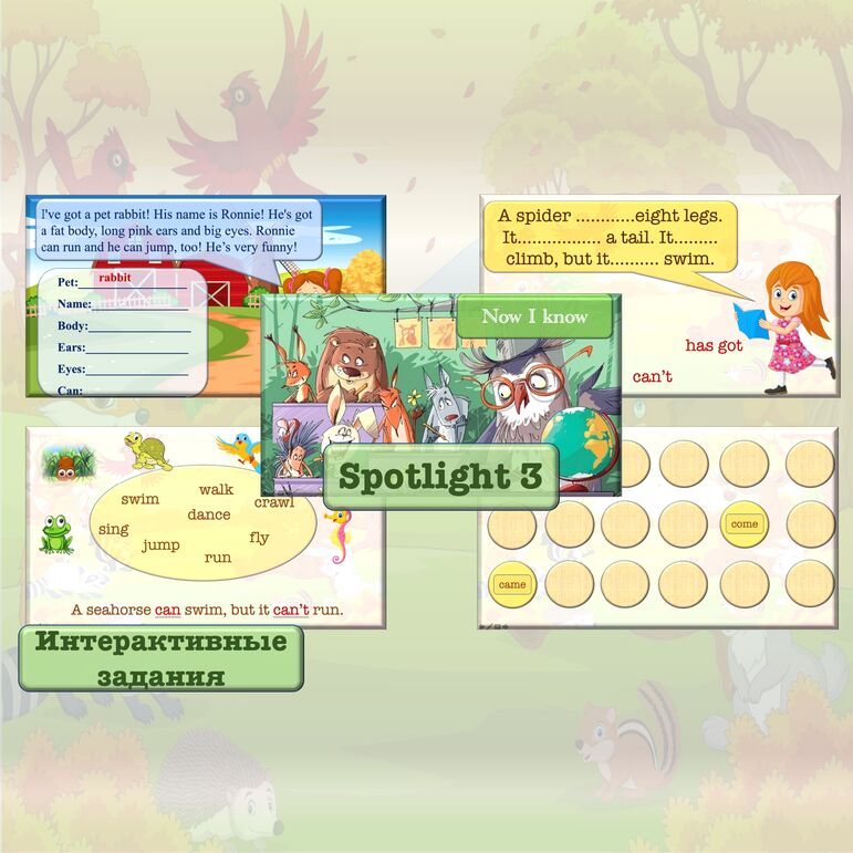 Презентация к уроку английского языка, Spotlight-3, урок Now I know ...