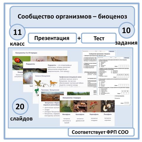 Комплект по биологии (презентация + тест) 