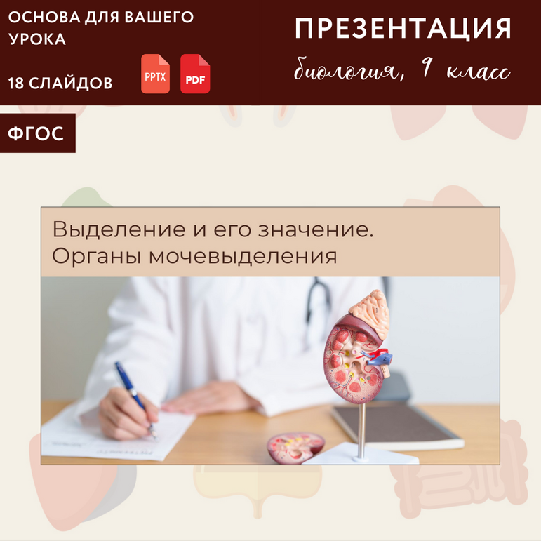 Презентация "Выделение и его значение. Органы мочевыделения", урок ...