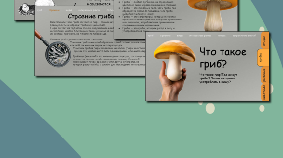 Обложка материала