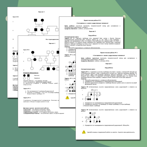 Практическая работа №2 «Составление и анализ родословных человека»