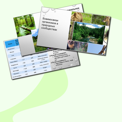 Презентация