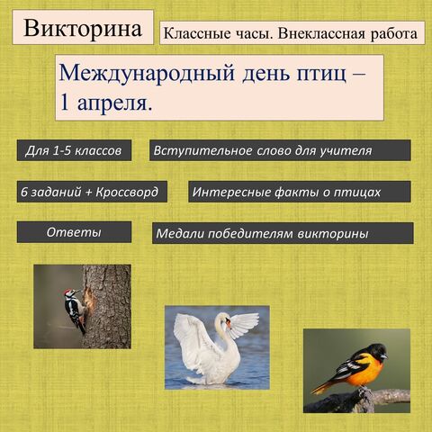 Викторина 