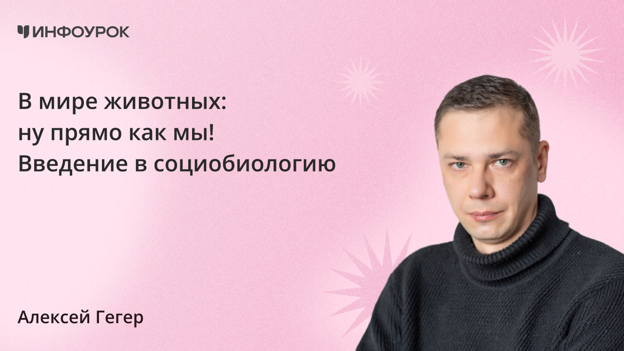 В мире животных: ну прямо как мы! Введение в социобиологию