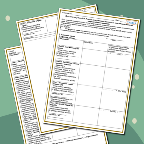 Практическая работа № 6. Решение экспериментальных задач по теме «Основные классы неорганических соединений».