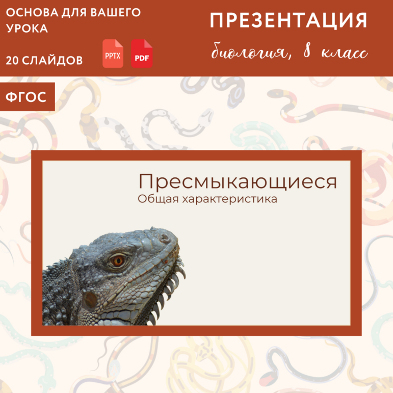 Презентация "Птицы", урок биологии 8 класс (Пасечник "Линия жизни")