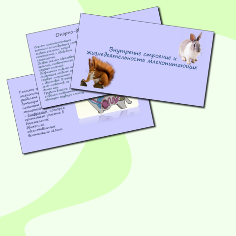 Презентация 
