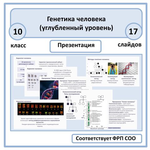 Презентация по биологии 