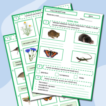 Тест по окружающему миру «Жизнь луга» 4 класс