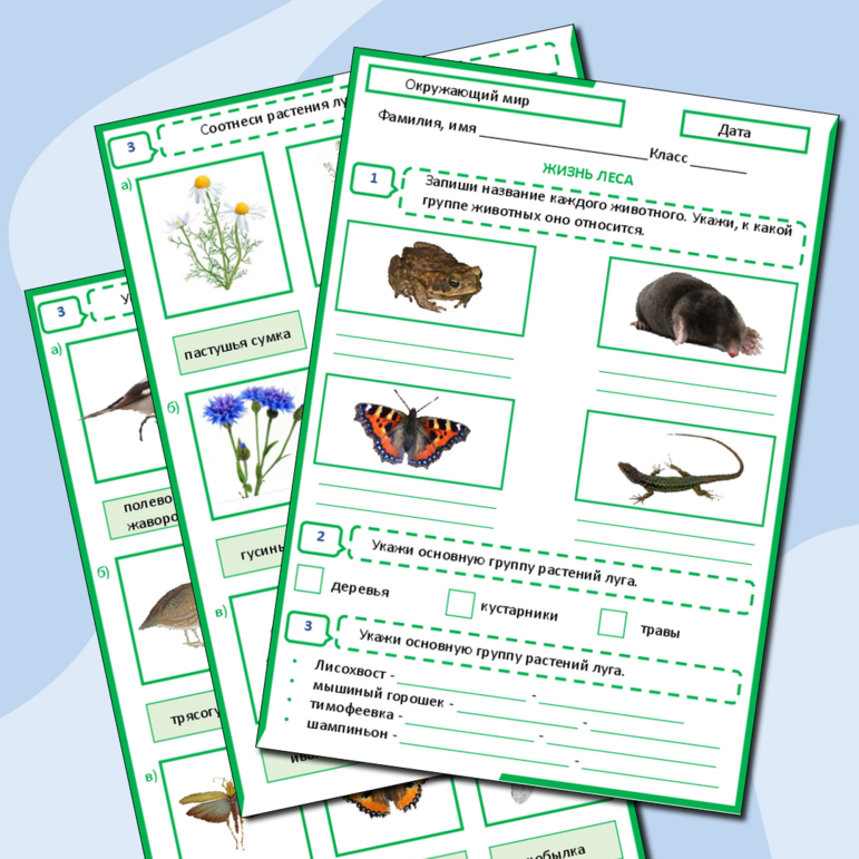Тест по окружающему миру «Жизнь луга» 4 класс