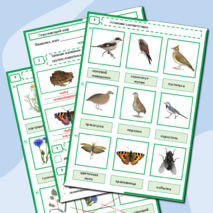 Тест по окружающему миру «Жизнь луга» 4 класс