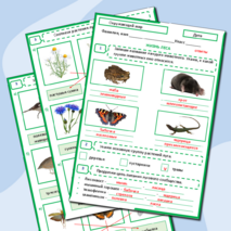 Тест по окружающему миру «Жизнь луга» 4 класс