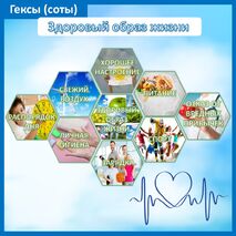 Гексы (соты) для оформления доски «Здоровый образ жизни/ ЗОЖ»