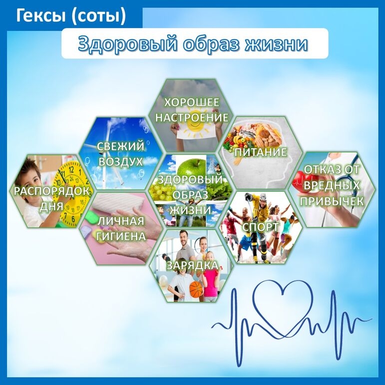 Гексы (соты) для оформления доски «Здоровый образ жизни/ ЗОЖ»